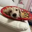 はるのプロフィール画像