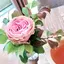 sanaのプロフィール画像