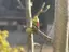 芽と蕾のプロフィール画像