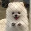 doraのプロフィール画像