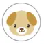 Viviのプロフィール画像