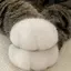 あのプロフィール画像