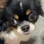 ちろのプロフィール画像