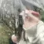 あ!のプロフィール画像