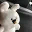 のんのプロフィール画像