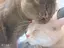 みーくんのプロフィール画像