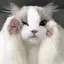 ののプロフィール画像