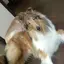 もっちゃんのプロフィール画像
