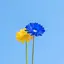 ずーとぴあのプロフィール画像