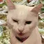 かなのプロフィール画像
