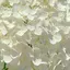 Rinoのプロフィール画像