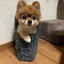 のんのプロフィール画像
