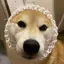 Sのプロフィール画像