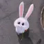 saraのプロフィール画像
