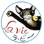 Azukiのプロフィール画像