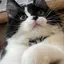 咲のプロフィール画像