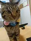 たまちゃんのプロフィール画像