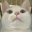🎀のプロフィール画像