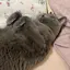 たらりのプロフィール画像