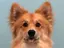 lLiのプロフィール画像
