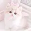 彩桜のプロフィール画像