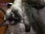 夢心のプロフィール画像