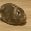 0401にこのプロフィール画像
