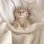 りおのプロフィール画像