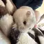 みんのプロフィール画像