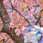 nyuiのプロフィール画像