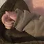 RINAのプロフィール画像