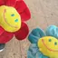 ぬーぴぃのプロフィール画像