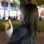 ゆめかのプロフィール画像