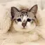 Ykのプロフィール画像