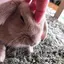 瑞希のプロフィール画像