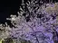 AKAのプロフィール画像