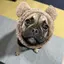 ゆりのプロフィール画像