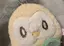 shocccのプロフィール画像