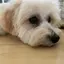 mitsuのプロフィール画像