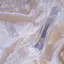 nのプロフィール画像