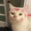 ひーのプロフィール画像