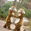 タカピのプロフィール画像