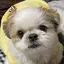とものプロフィール画像