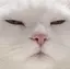 toのプロフィール画像
