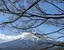kaoiのプロフィール画像