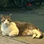 なかののプロフィール画像