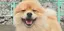 みくのプロフィール画像