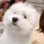 meeのプロフィール画像