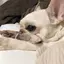 tomi.のプロフィール画像