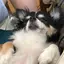 にーのプロフィール画像